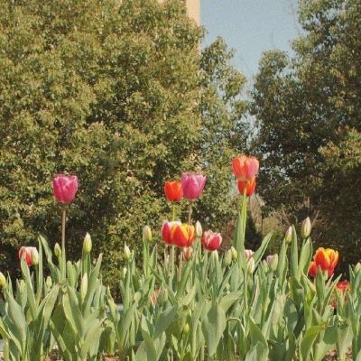 火狐官方网站下载手机版