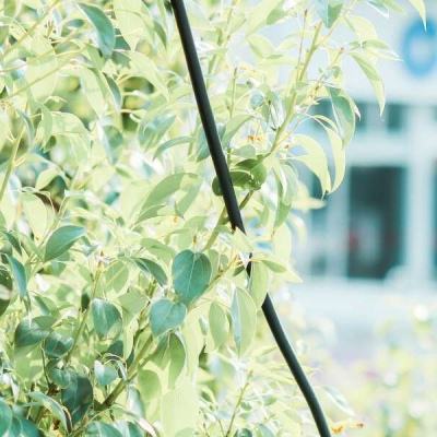 开元娱乐app官网版